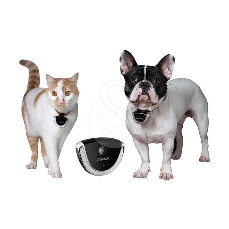 Eyenimal VideoCam