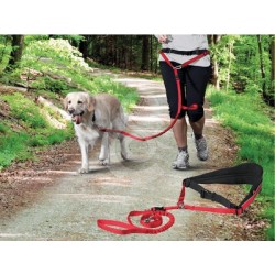 Ceinture Canijogging