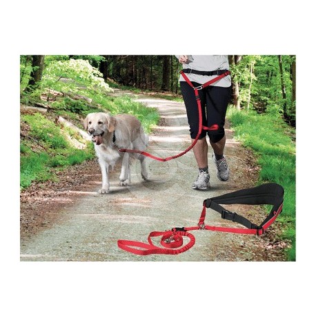 Ceinture Canijogging