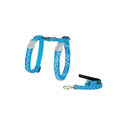 Ensemble harnais  laisse chat Red Dingo