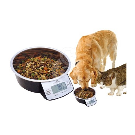 Gamelle intelligente Pet Bowl