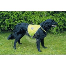 Gilet de sécurité pour chien