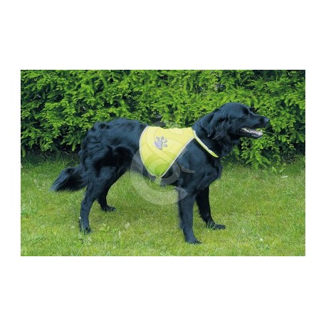 Gilet de sécurité pour chien