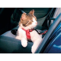 Harnais de sécurité voiture pour chat