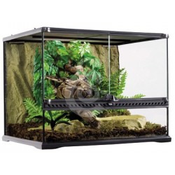 Terrarium en verre pour...