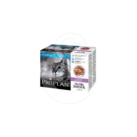 Cat Housecat Turkey Gelée Sachet repas