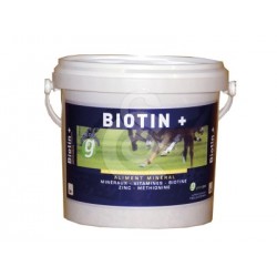 Biotin +