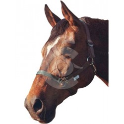 Licol Classic en nylon pour chevaux