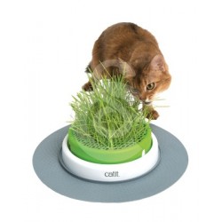 Jardin d'herbe à chat Catit Senses 2.0