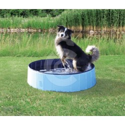 Piscine pour chien