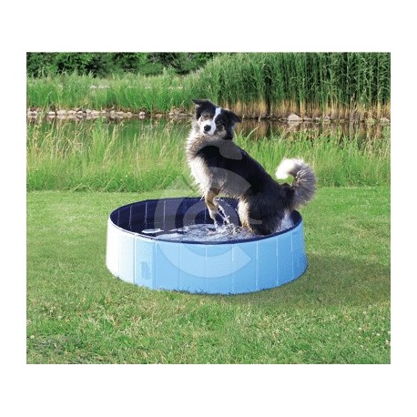 Piscine pour chien