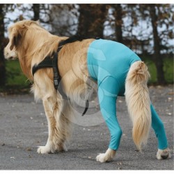 Gilet Protection arrière VetMedCare pour chien