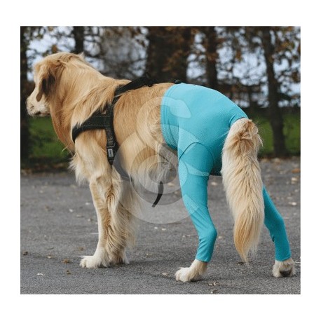 Gilet Protection arrière VetMedCare pour chien