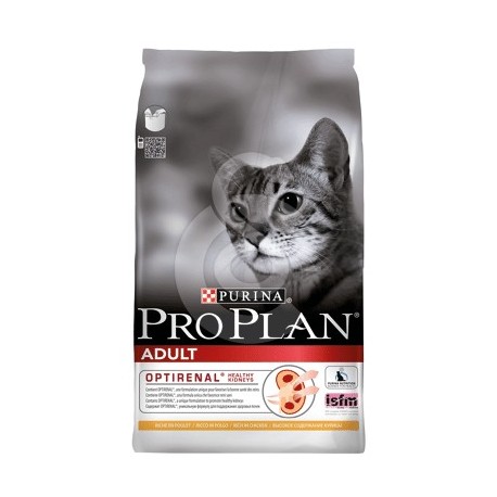 Cat Adult Chicken & Rice