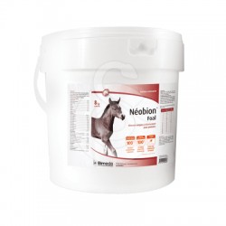 Neobion Foal