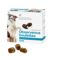 Observence Boulettes