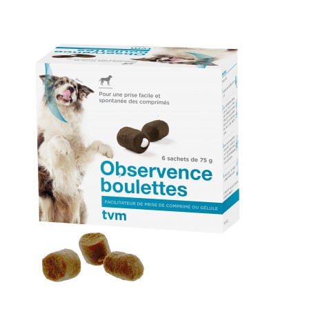 Observence Boulettes