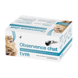 Observence Chat