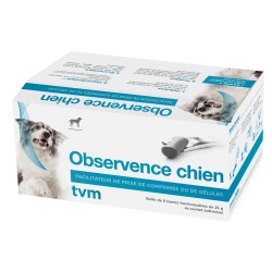 Observence Chien