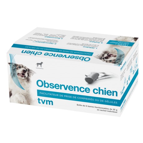 Observence Chien