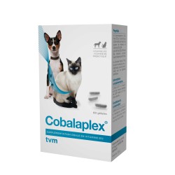 Cobalaplex Bt 60 Gelules