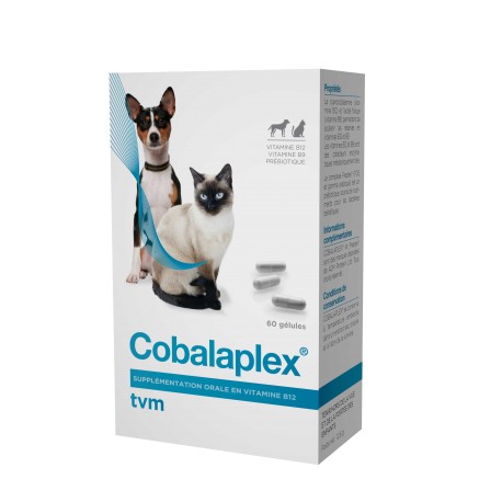 Cobalaplex Bt 60 Gelules