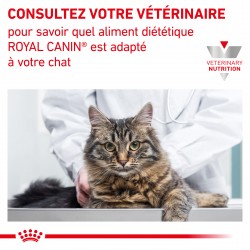 Cat Renal Poulet émincé sachet fraîcheur