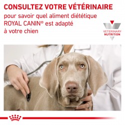 Dog Renal Boîte