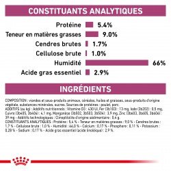 Dog Renal Boîte