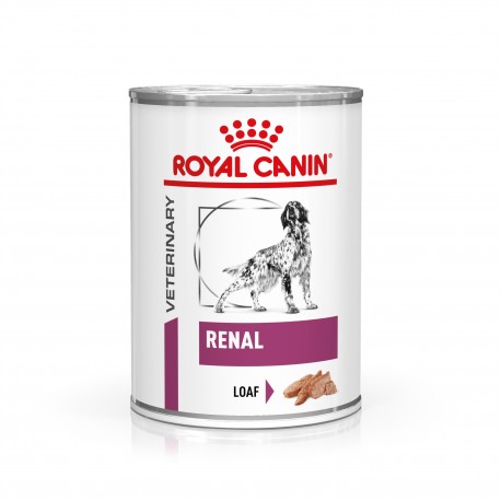 Dog Renal Boîte