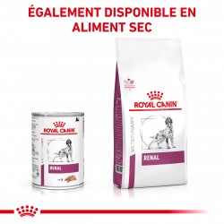 Dog Renal Boîte