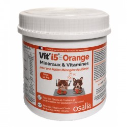 Vit'i5 Orange Poudre