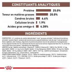 Dog Gastro Intestinal