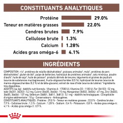 Dog Gastro Intestinal Puppy