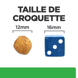 Chien R/D Weight Poulet