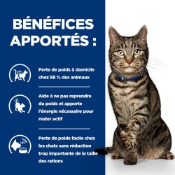 Chat Metabolic Poulet