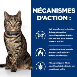 Chat Metabolic Poulet