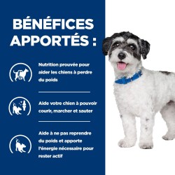 Chien J/D Metabolic + mobility Mini Poulet