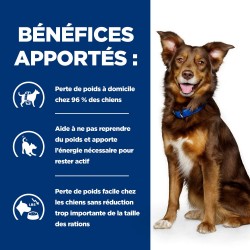 Chien Metabolic Agneau & Riz