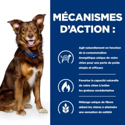 Chien Metabolic Agneau & Riz