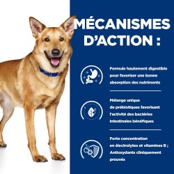 Chien I/D Digestive Poulet