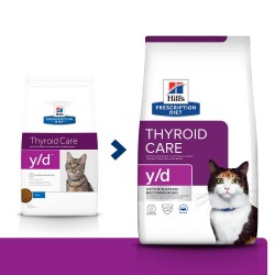 Chat Y/D Thyroid