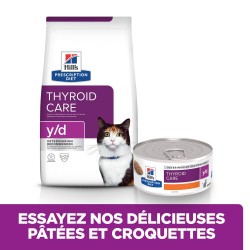 Chat Y/D Thyroid