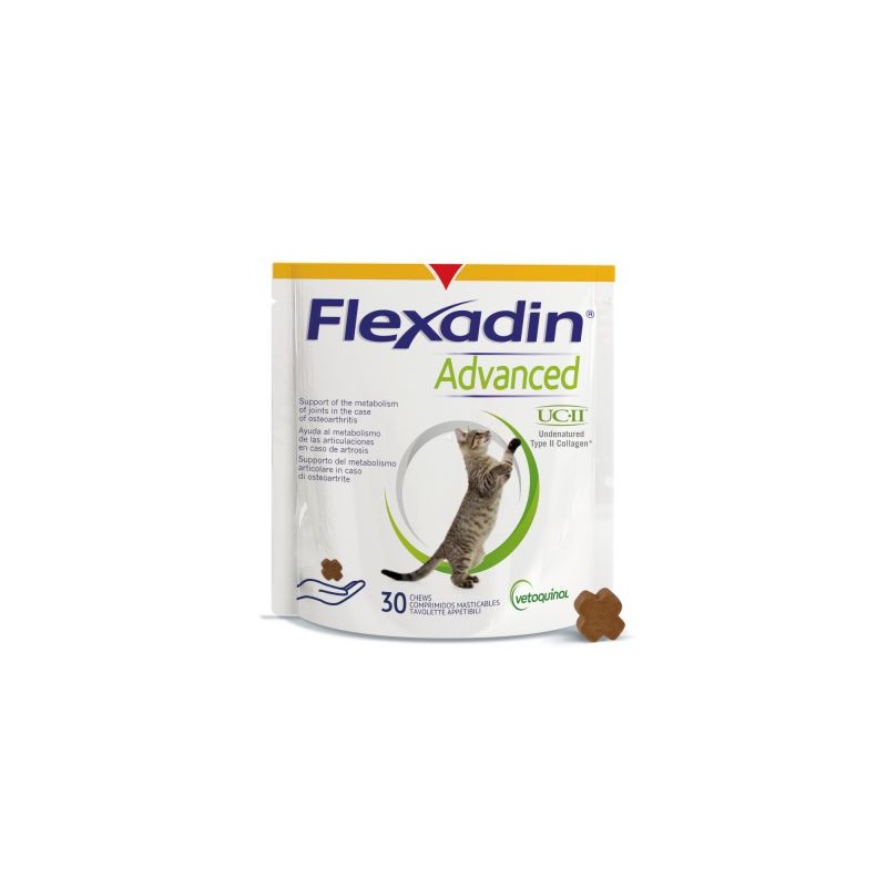 Flexadin Advanced Chat