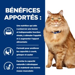 Feline KD + Mobility Poulet Sachet Repas