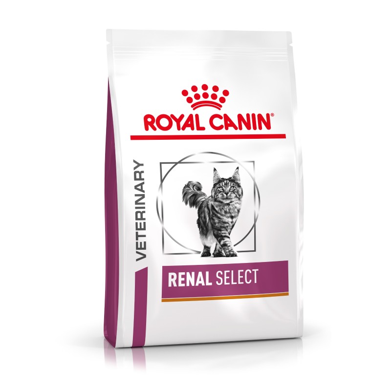 Cat Renal Select