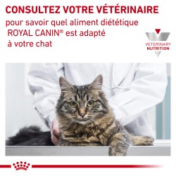 Cat Sensitivity Control Poulet Sachet Repas