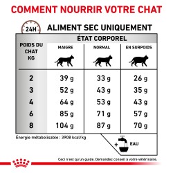 Cat Fibre Response