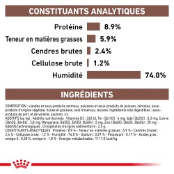 Dog Gastro Intestinal Boîte