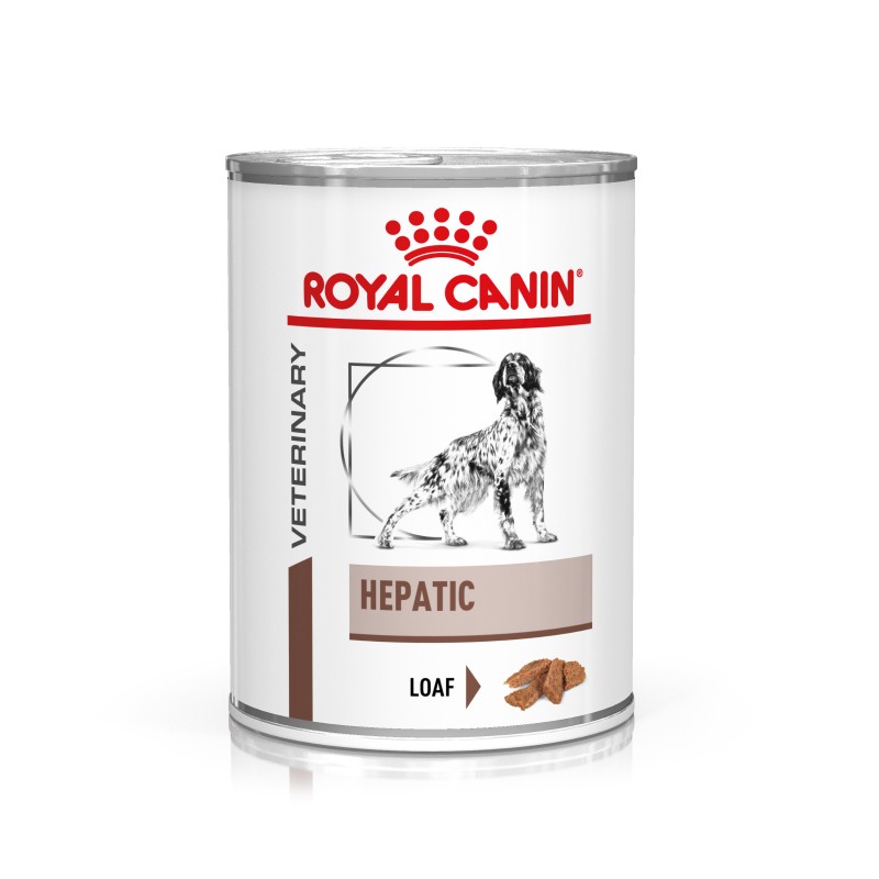 Dog Hepatic Boîte